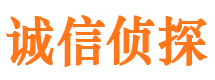 尼勒克私人侦探